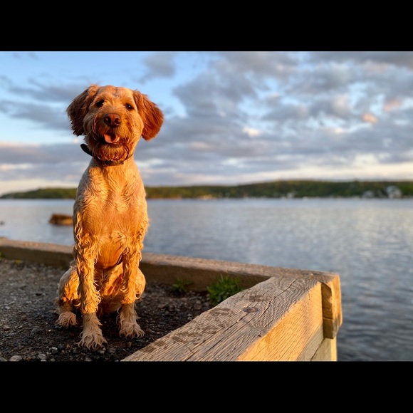 Meet your Posher, Nicolle (📍Halifax, NS) - Picture 6 of 8